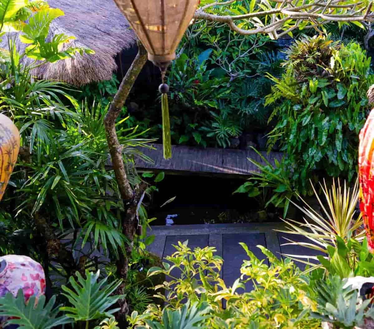 Tropical garden at The Hidden Space